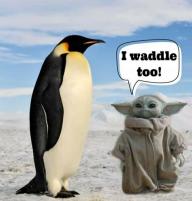 avatar/102807 image