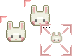 Bunnyteaser