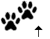 Cat Paw Cursor Set thumbnail