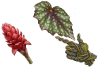 BloodArt : GardenPlaygroundteaser