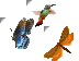 Natureteaser