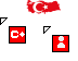 The Türkiye/Turkiye Teaser