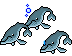 Whales Teaser