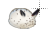 Sea Slug II left select.cur Preview