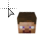 Minecraft Steve Head.ani