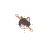 Catlebdiag1.cur Preview