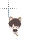 Catlebtext.ani Preview
