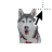 kira alternate.ani Preview