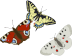 Butterflyicon set teaser