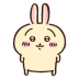 Usagi chiikawa.png Preview
