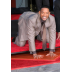 will smith de 4.png Preview