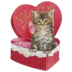Heart Box Kitten.ico Preview
