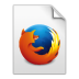 firefox4.ico Preview