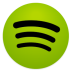 spotify2.ico Preview
