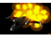 Cosmic Journey thumbnail